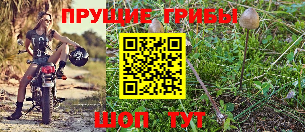 Псилоцибиновые грибы Magic Shrooms  Вход с VPN  Хасавюрт 